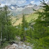 Traveler photo 1